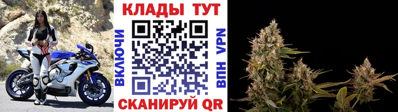 Купить закладку Чекалин Гашиш  Бошки Шишки  Вейп ТГК  Меф мяу мяу  Кокаин  A-PVP 