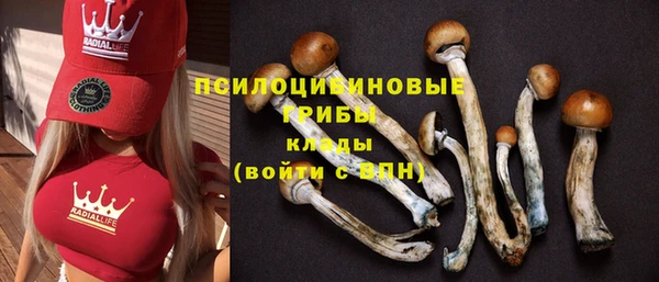 соль курить ск Осташков
