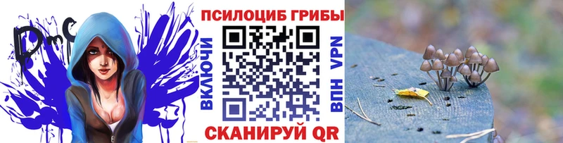 Галлюциногенные грибы GOLDEN TEACHER  Чекалин 